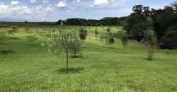 300 Acres in Nanyuki for sale