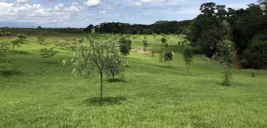 300 Acres in Nanyuki for sale