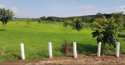 300 Acres in Nanyuki for sale