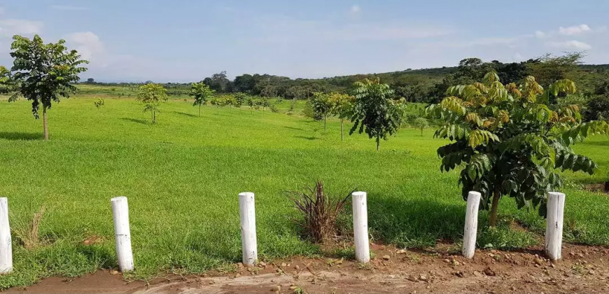 300 Acres in Nanyuki for sale