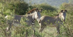 12800 acre property for sale in Laikipia