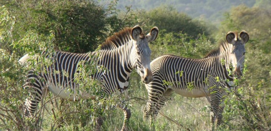 12800 acre property for sale in Laikipia