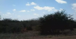 Land for Sale in Taita Taveta