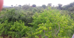 Land for Sale in Taita Taveta