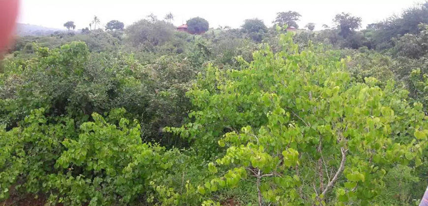 Land for Sale in Taita Taveta