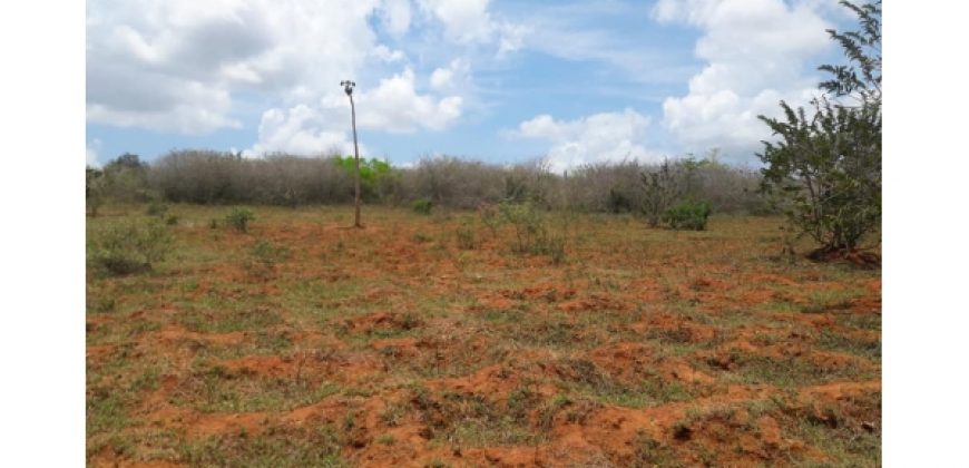Raches for sale in Taita Taveta