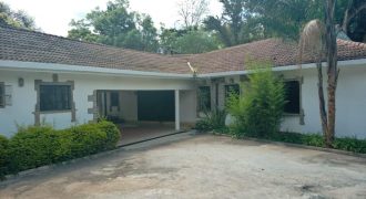 Bungalow for rent in Lavington on own compound