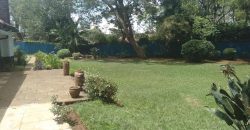 Kilimani Bungalow on half acre for rent