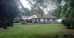 Kilimani Bungalow on half acre for rent