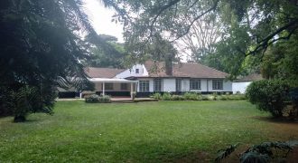 Kilimani Bungalow on half acre for rent