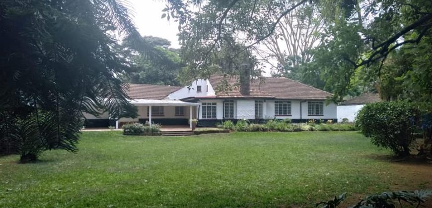 Kilimani Bungalow on half acre for rent
