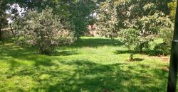 Bungalow for rent in Lavington on own compound