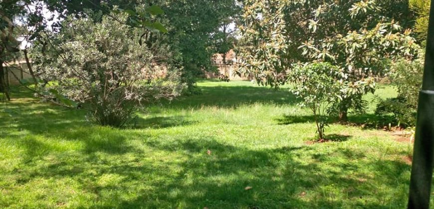 Bungalow for rent in Lavington on own compound