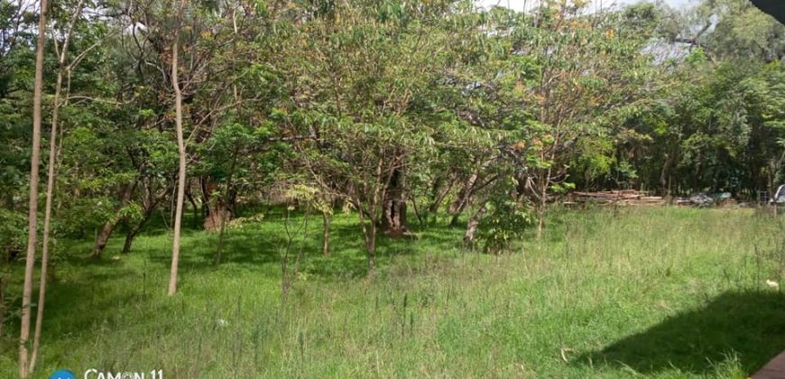 Nice Bungalow for rent on Deniss Pritt Kilimani