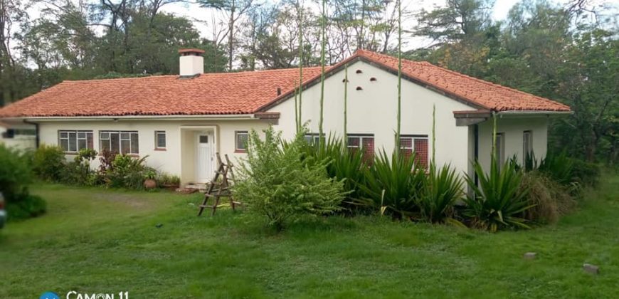 Nice Bungalow for rent on Deniss Pritt Kilimani