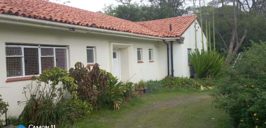 Nice Bungalow for rent on Deniss Pritt Kilimani