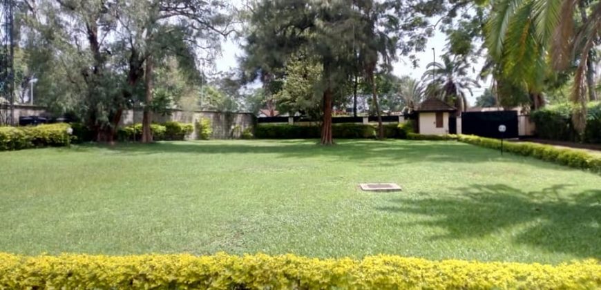 Double Storey House for rent in Lavington on 1 acre