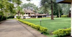 Double Storey House for rent in Lavington on 1 acre