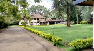 Double Storey House for rent in Lavington on 1 acre