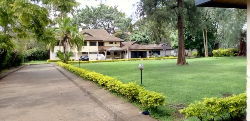 Double Storey House for rent in Lavington on 1 acre