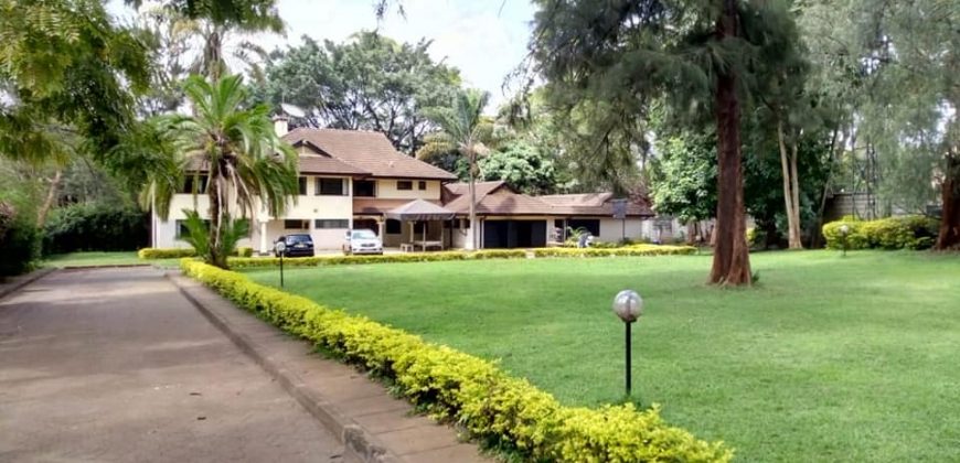 Double Storey House for rent in Lavington on 1 acre