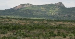 300 Acres in Nanyuki for sale