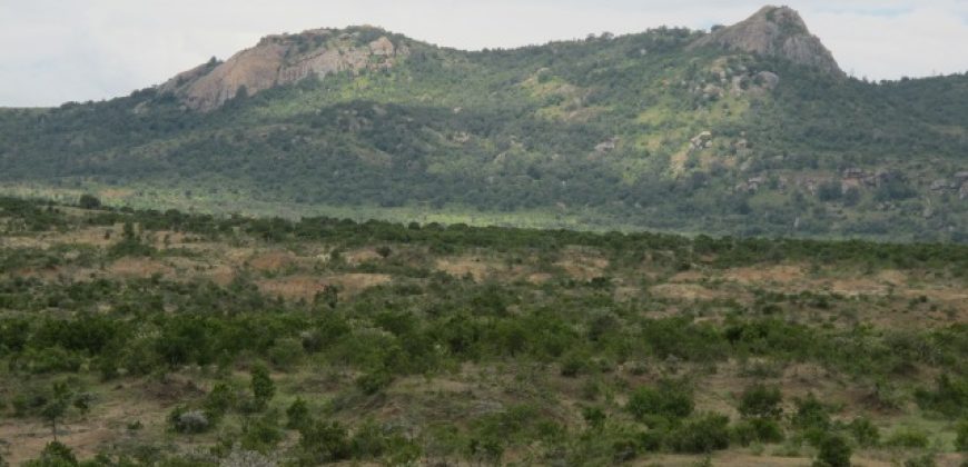 300 Acres in Nanyuki for sale