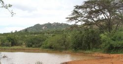 300 Acres in Nanyuki for sale