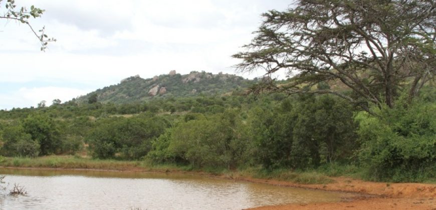 300 Acres in Nanyuki for sale