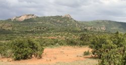 300 Acres in Nanyuki for sale