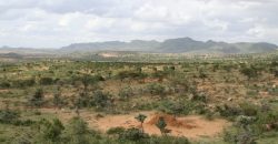 300 Acres in Nanyuki for sale