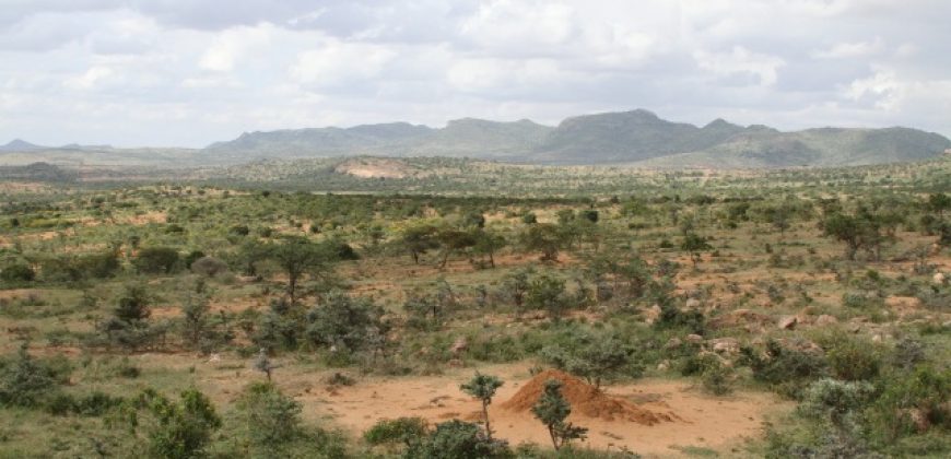 300 Acres in Nanyuki for sale