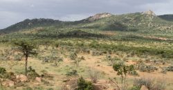 300 Acres in Nanyuki for sale