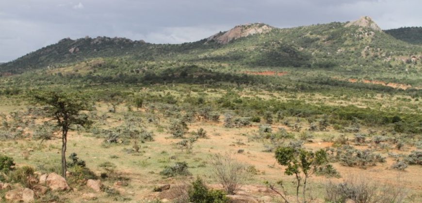 300 Acres in Nanyuki for sale