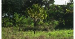 Prime 1.3 Acres for Sale in Ruiru bypass