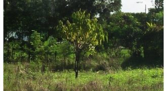 Prime 1.3 Acres for Sale in Ruiru bypass