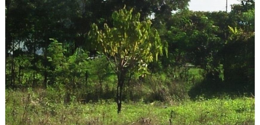 Prime 1.3 Acres for Sale in Ruiru bypass