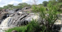 12800 acre property for sale in Laikipia