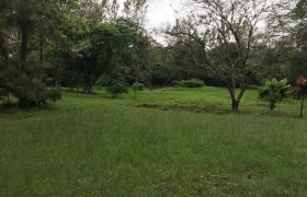 1 Acre Plot in Garden Estate