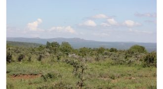 Cattle Ranch for sale in Nanyuki