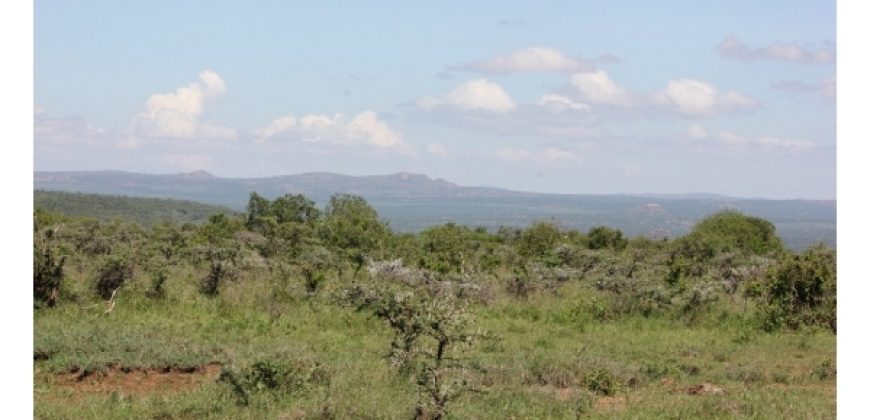 Cattle Ranch for sale in Nanyuki