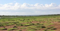 12800 acre property for sale in Laikipia