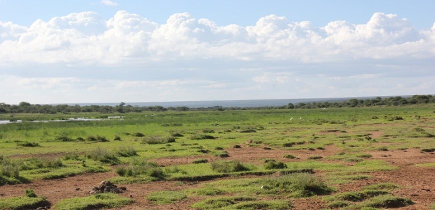 12800 acre property for sale in Laikipia