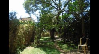 Property for sale in Upper hill Nairobi – 0.8 acres