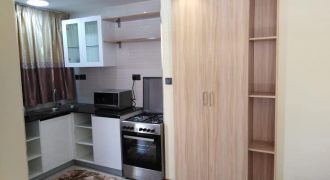 Stylish Studio in Kileleshwa for rent