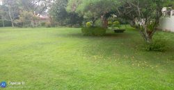 Kilimani House on 1.2 acres for rent