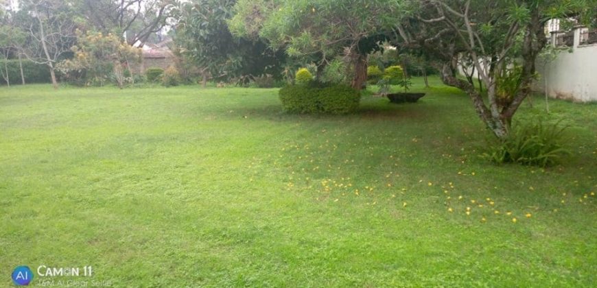 Kilimani House on 1.2 acres for rent