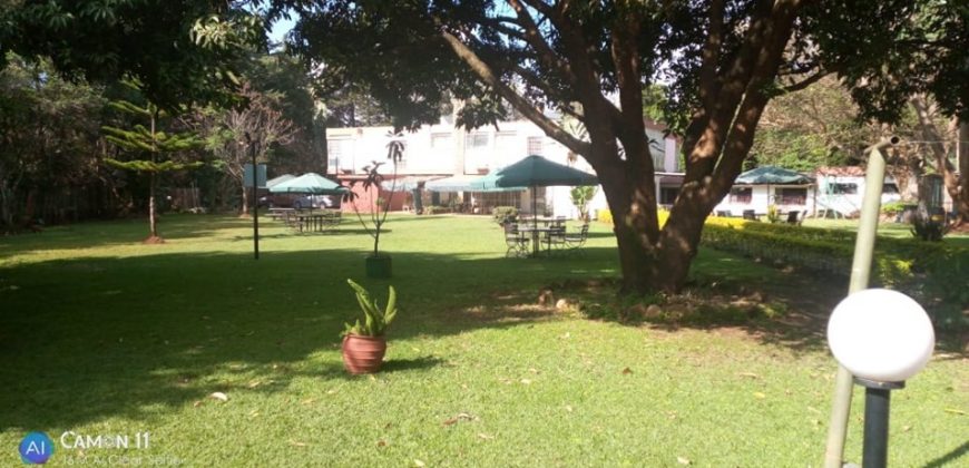 Lavington Townhouse in 2 acres for rent