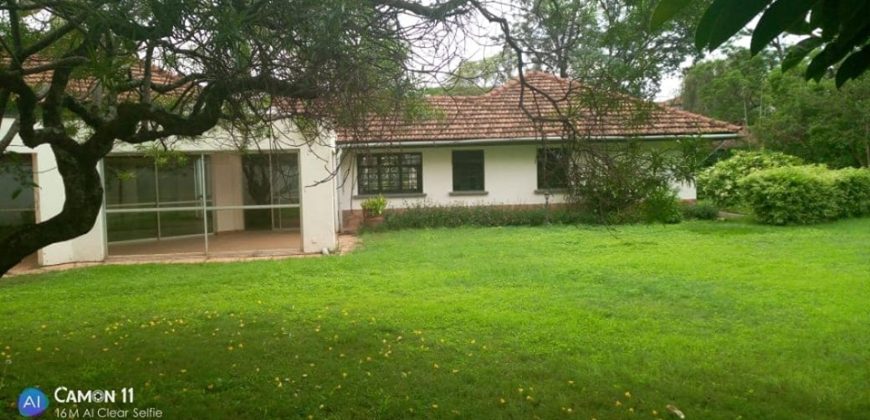 Kilimani House on 1.2 acres for rent