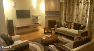Executive Serviced Apartment at Yaya centre